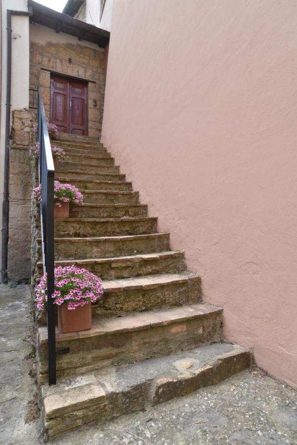 La Corte Del Castello Di San Michele San Michele in Teverina Ngoại thất bức ảnh